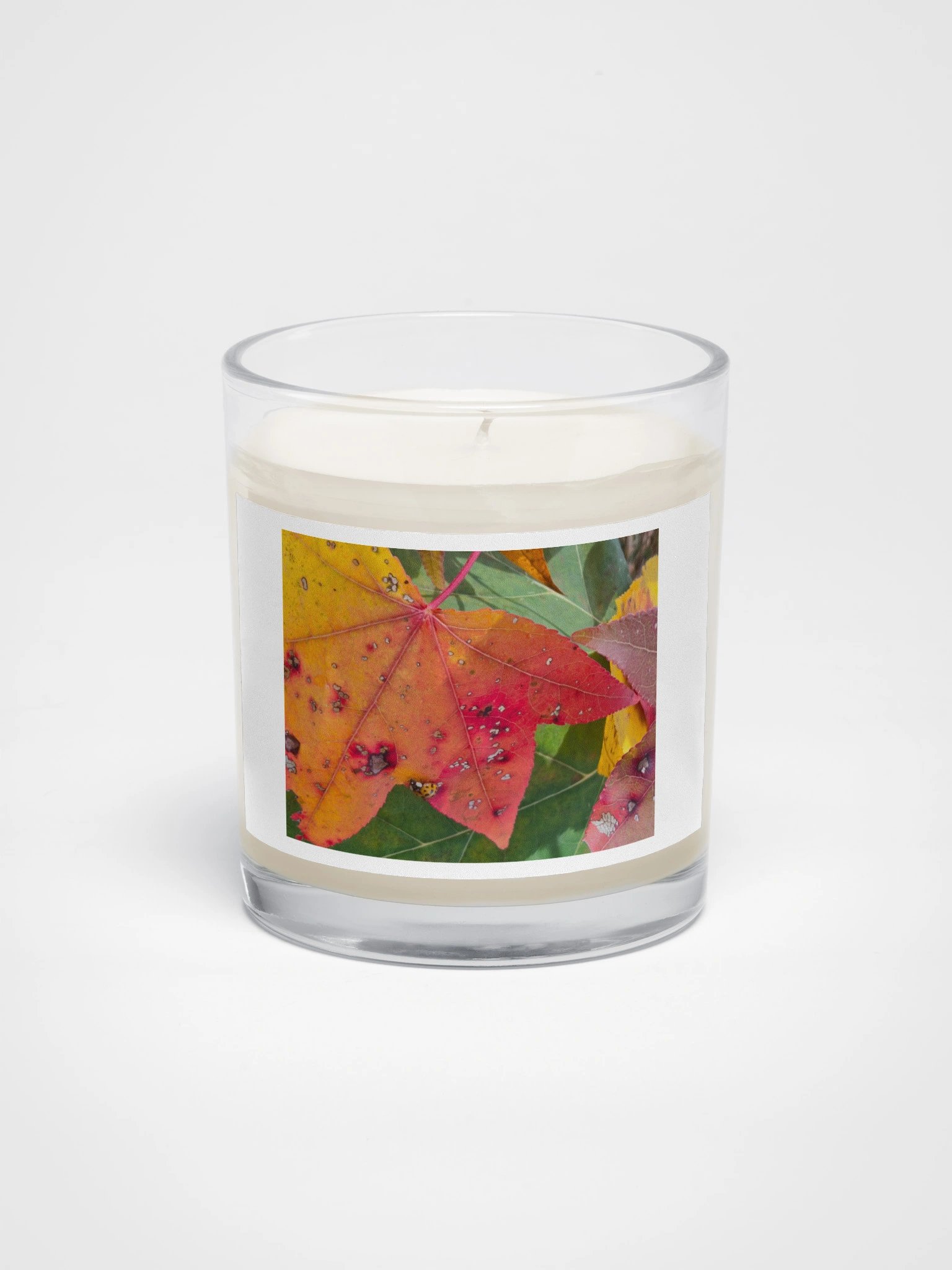 Ladybug in the Fall Soy Wax Candle product image (1)