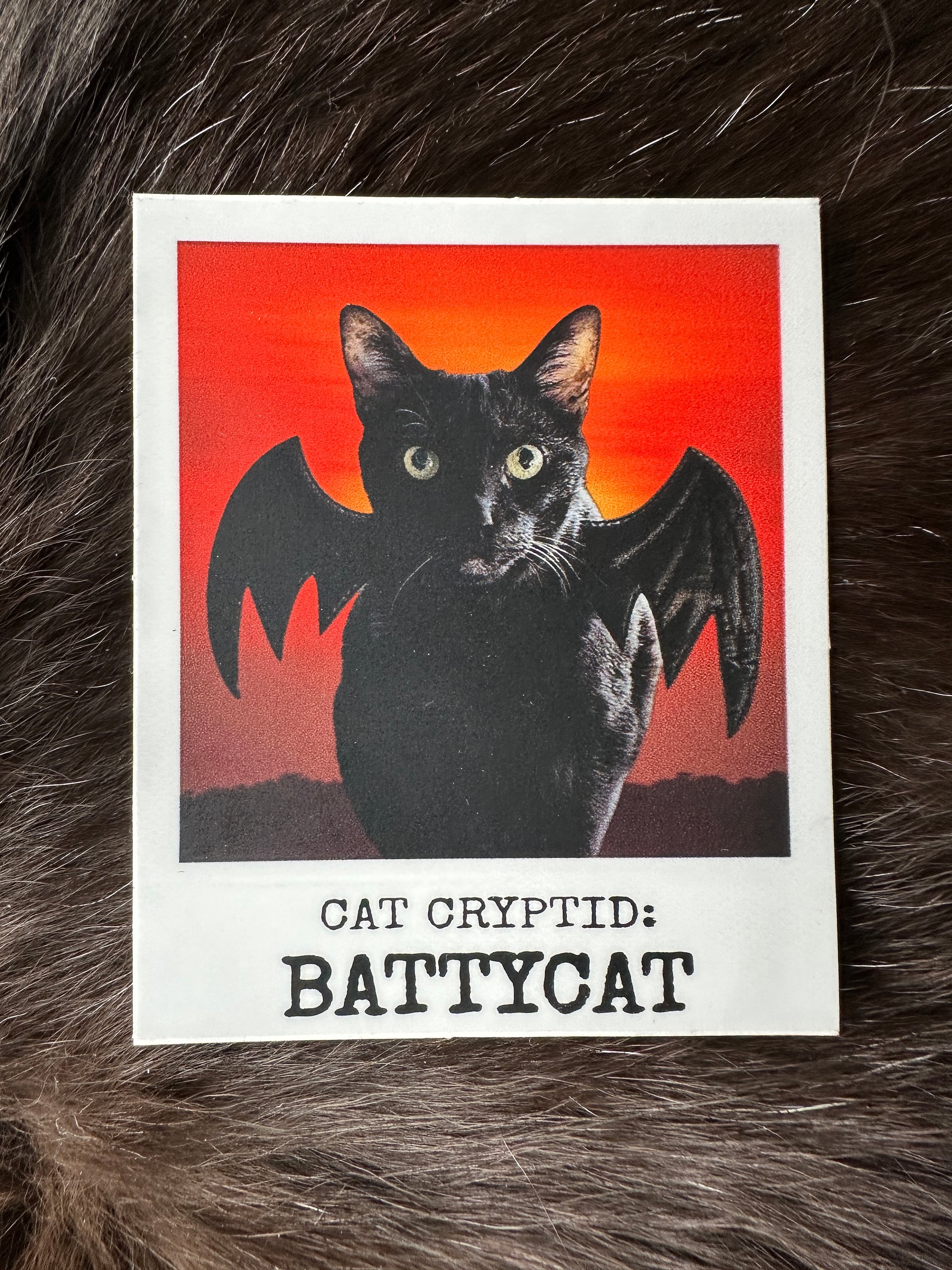 Battycat cat cryptid sticker product image (1)