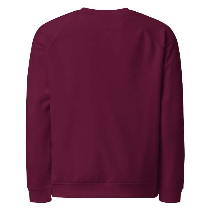 Dragon's Fiery Embrace Organic Sweatshirt product image (2)