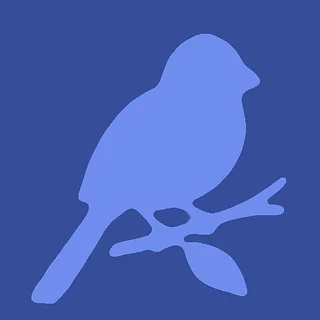 Don Willis Jr Art Bird Hats 