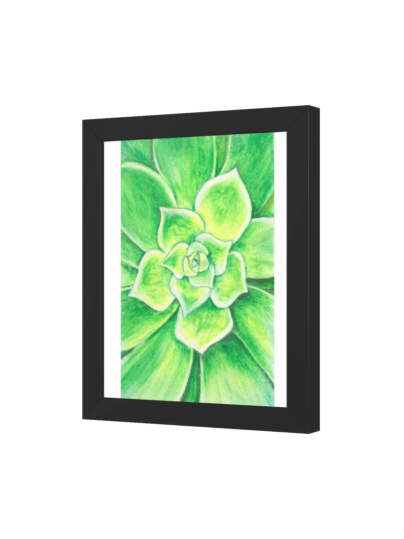 Succulent product image (11)