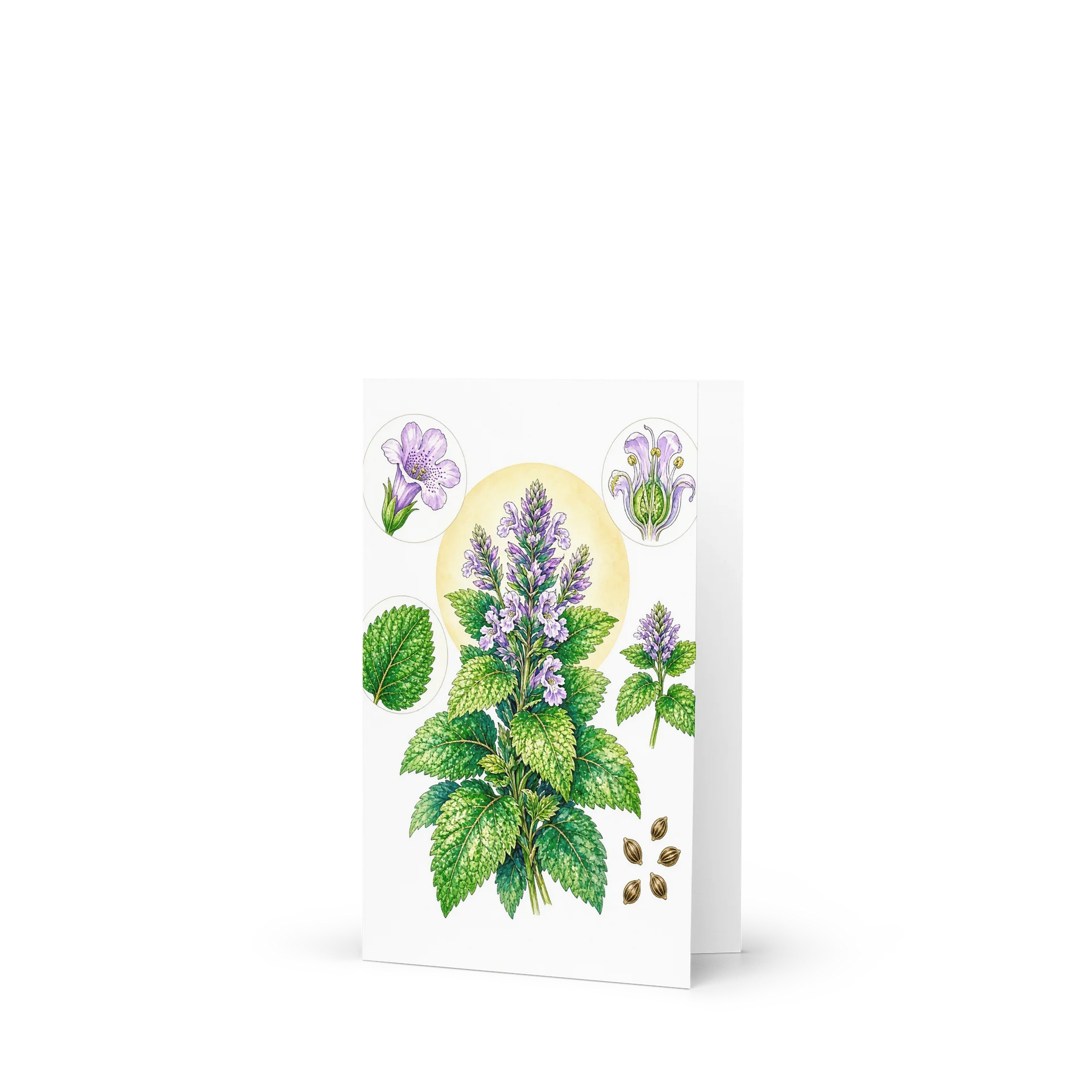 Modern Botanical Plate – Lemon Balm & Mint Greeting Card product image (1)