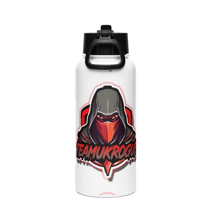 Stainless Steel Water Bottle with a Straw Lid product image (2)