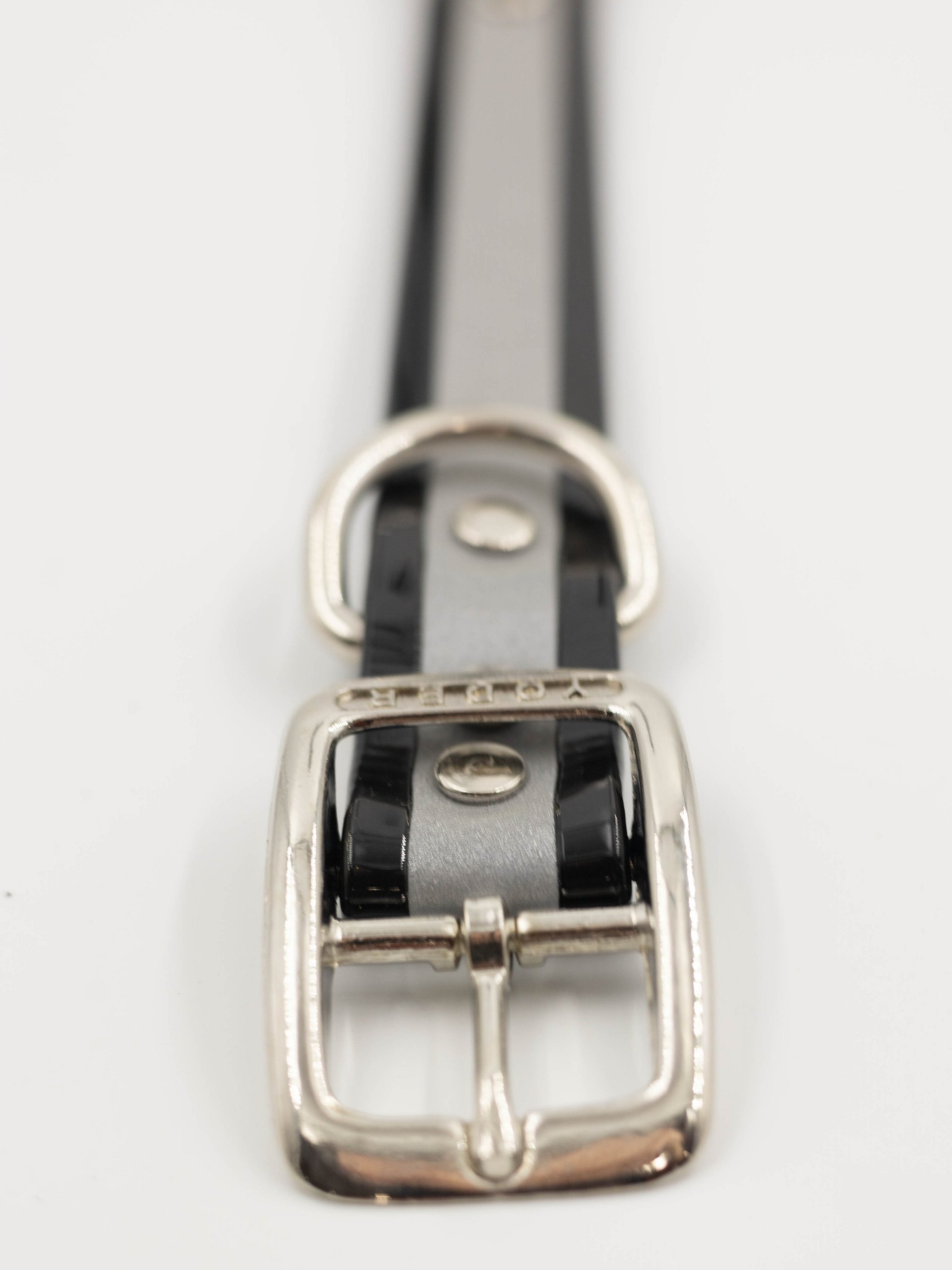 Waterproof Reflective Safety Dog Collar product image (7)