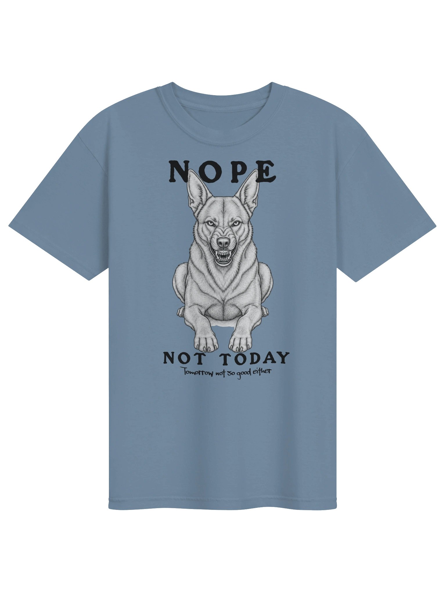 Nope Not Today product image (17)