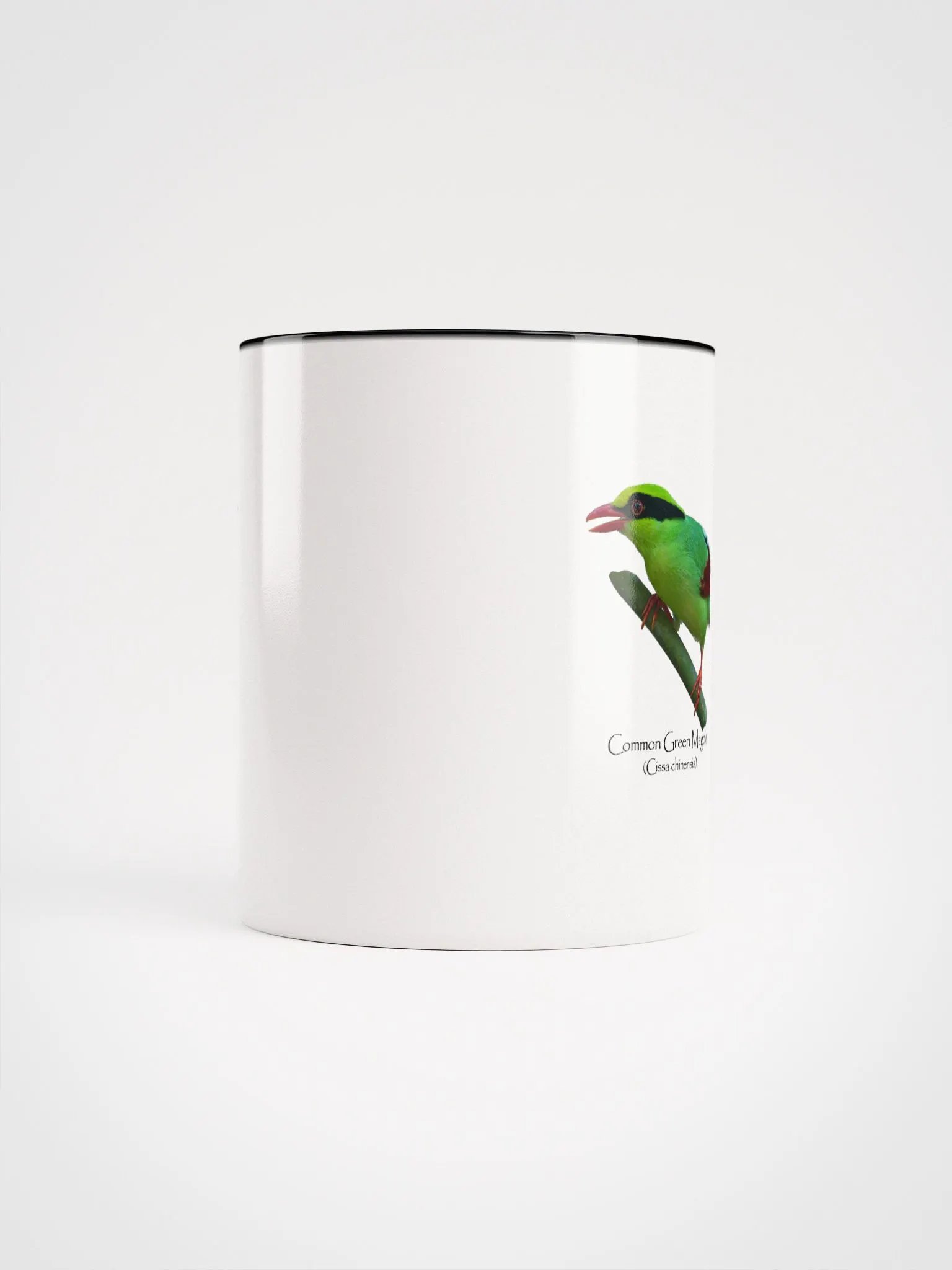 Common Green Magpie mug product image (50)