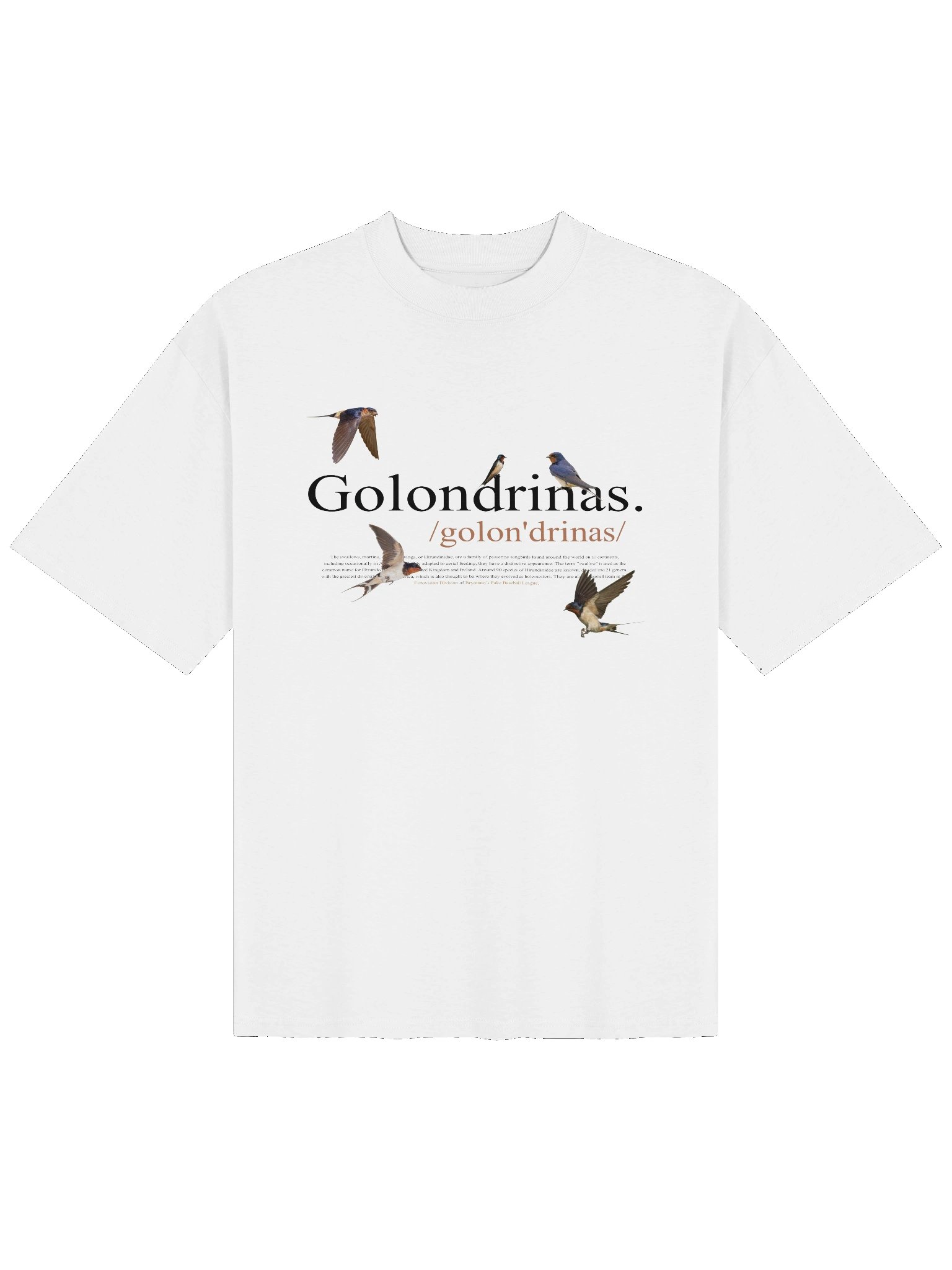 Golondrinas de Valencia Tee product image (1)