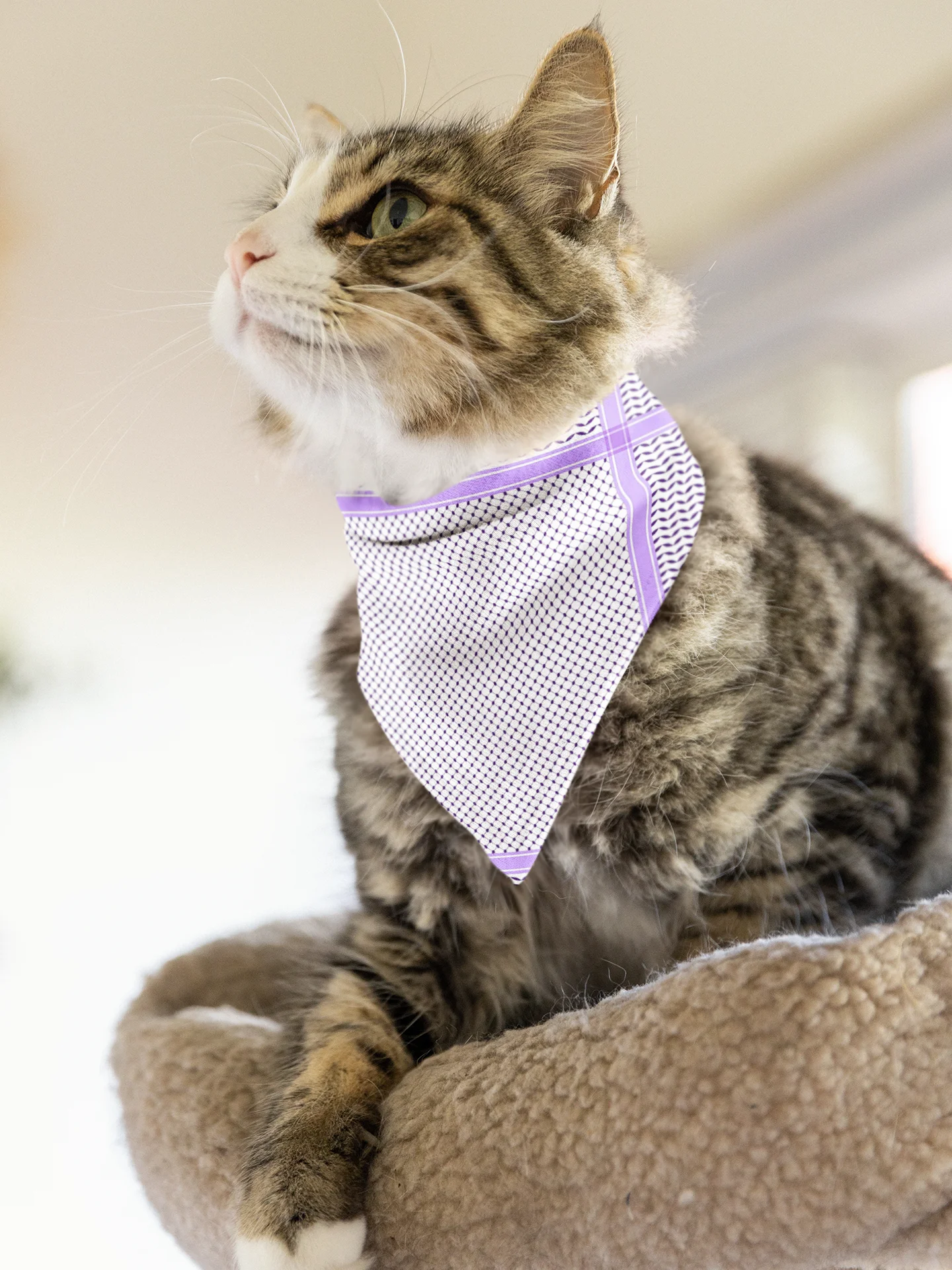 Aesthetic Purple Kufiya Bandana product image (2)