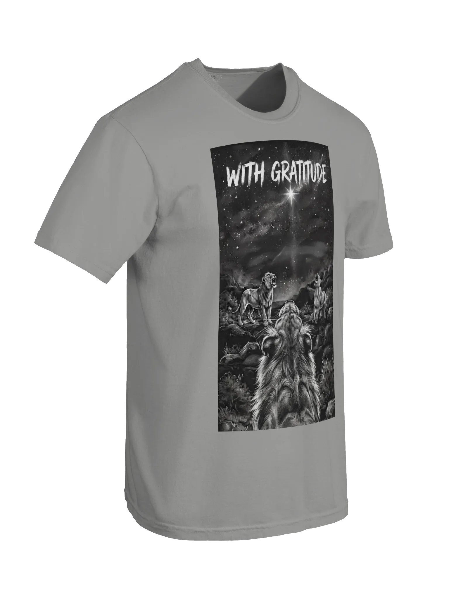 Lyrical Lifestyles: With Gratitude product image (22)