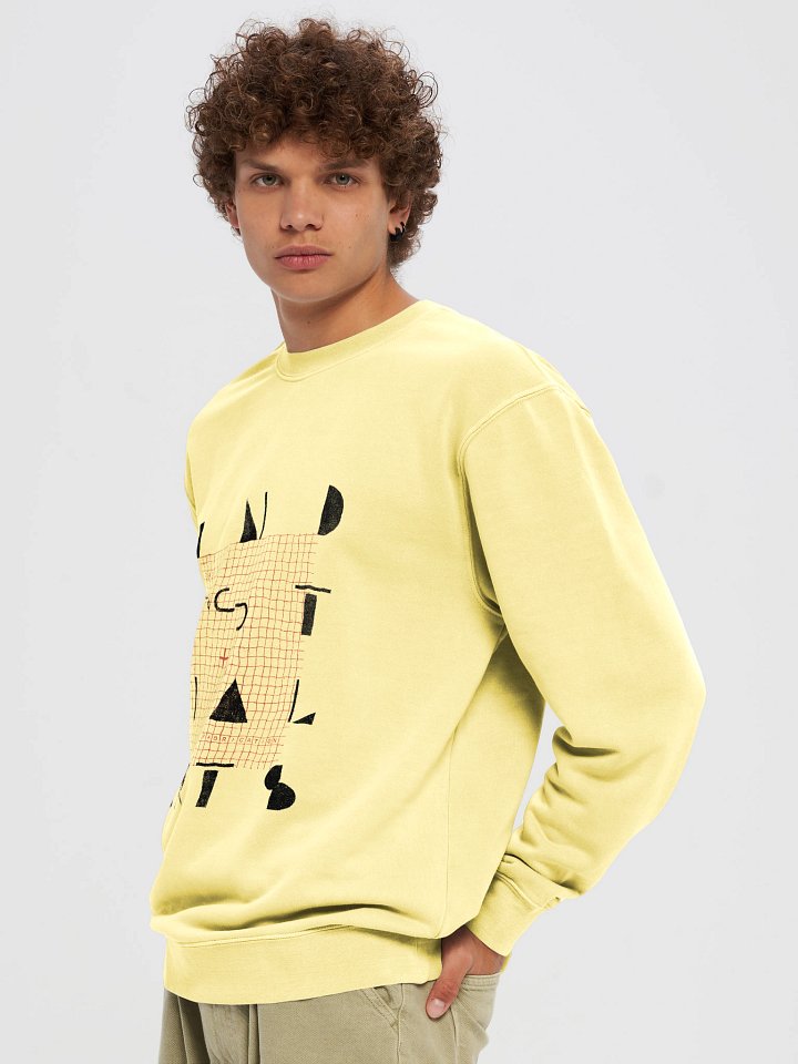 Evan Hecox Typeface Crew Neck V1 product image (1)