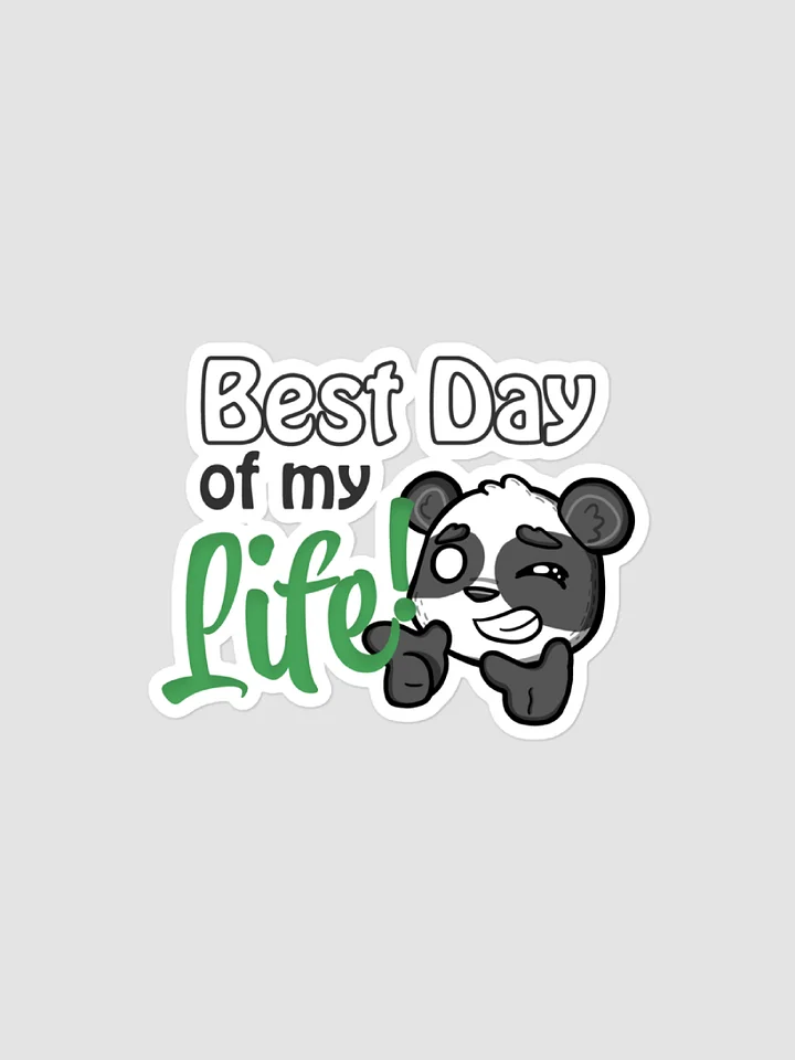 Best Day of My Life Sticker product image (1)