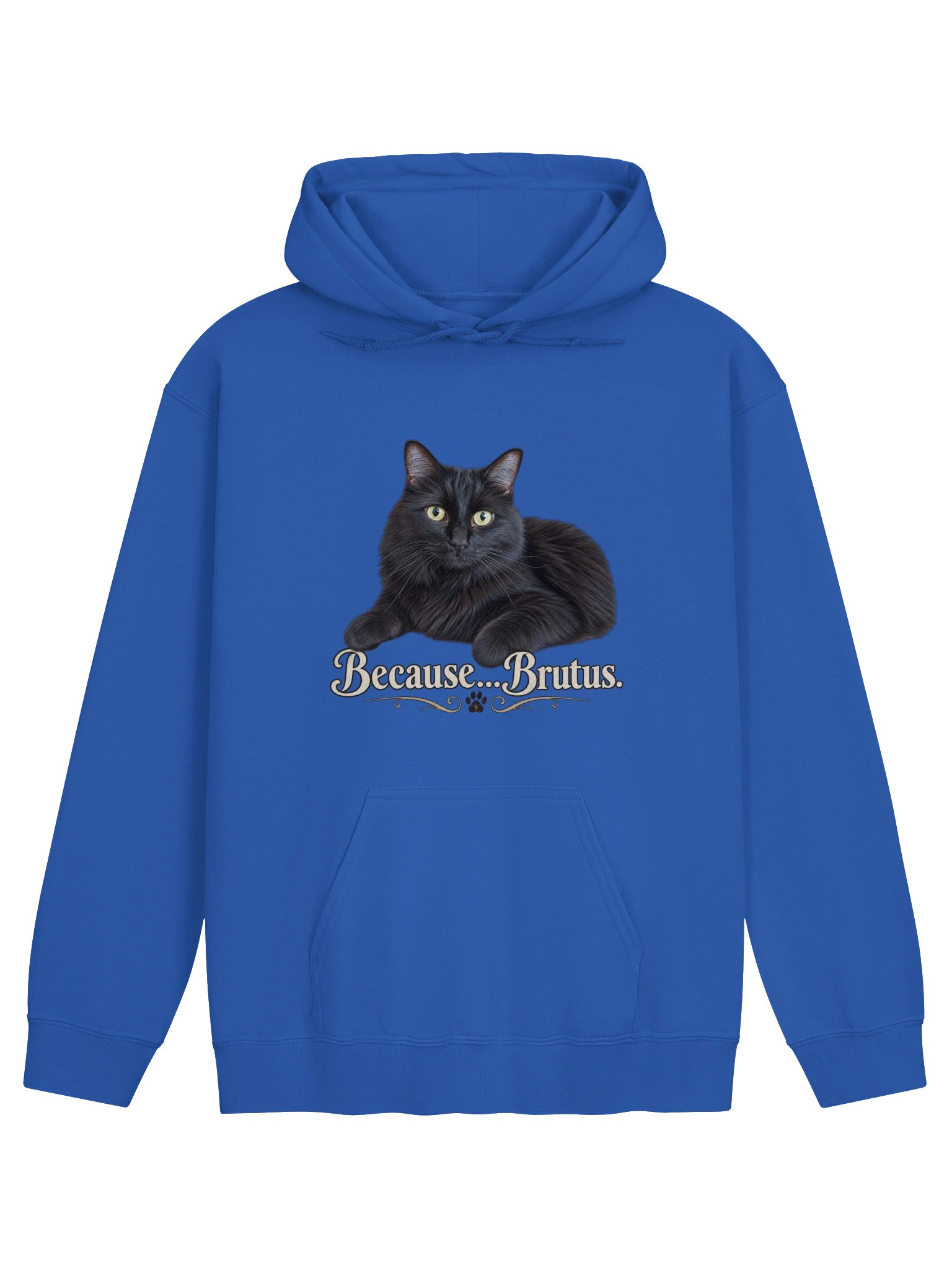 Because...Brutus Classic Hoodie product image (17)