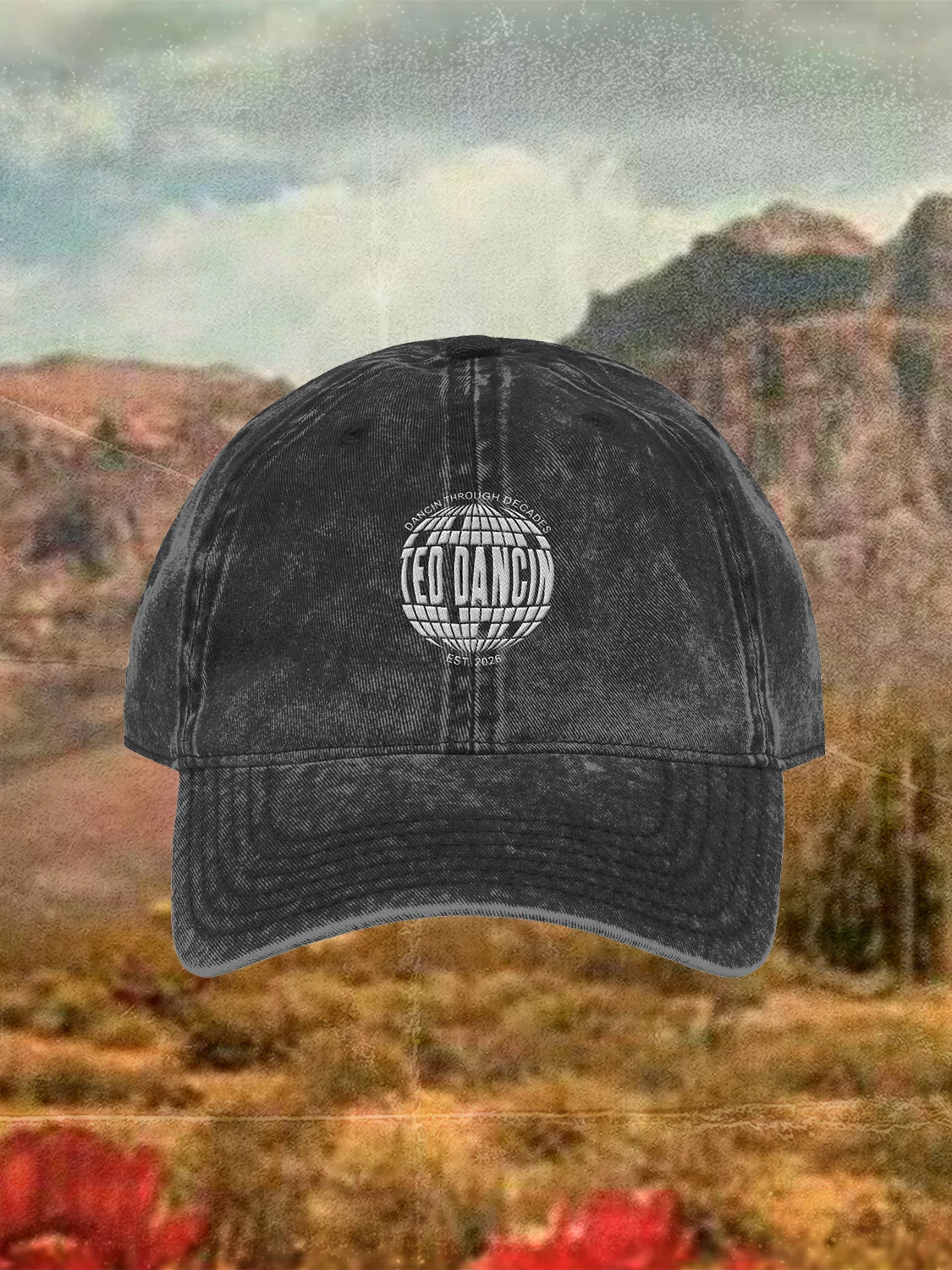 Ted Dancin Classic Dad Hat product image (1)