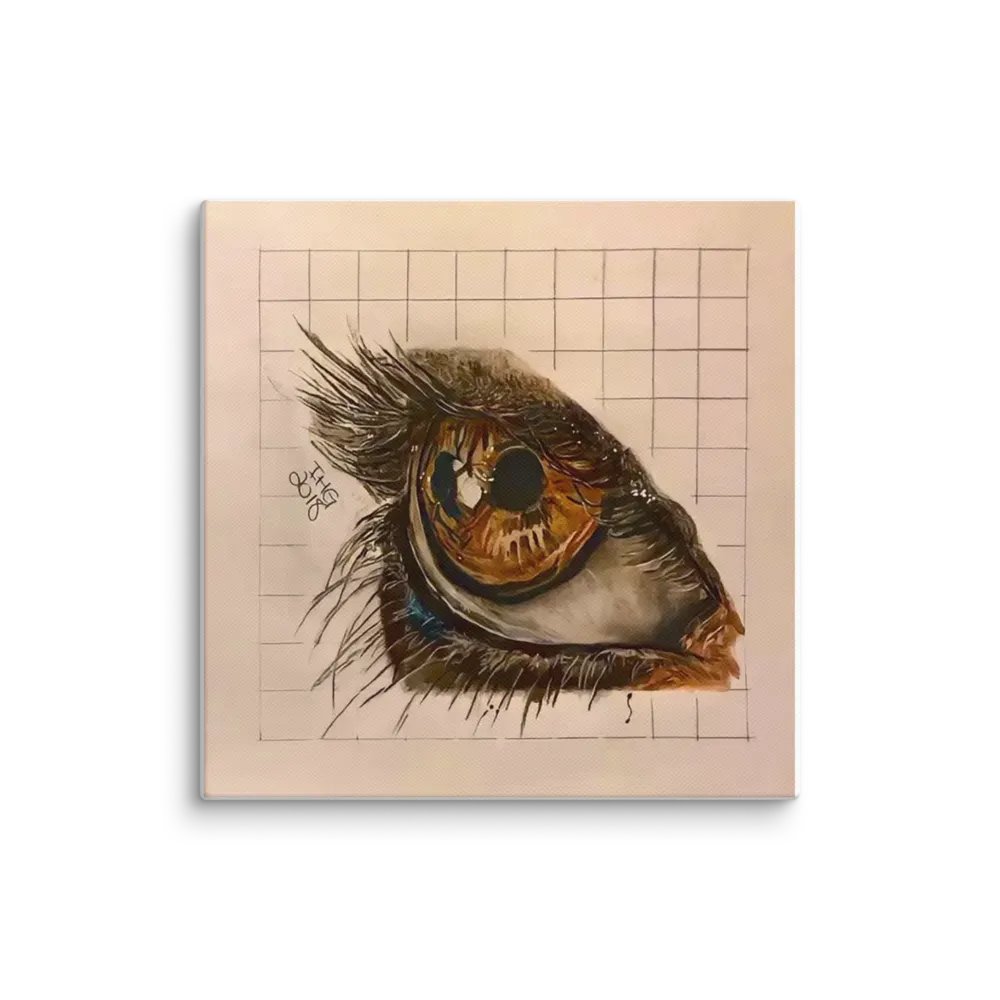 Eye Drawing Canvas product image (1)