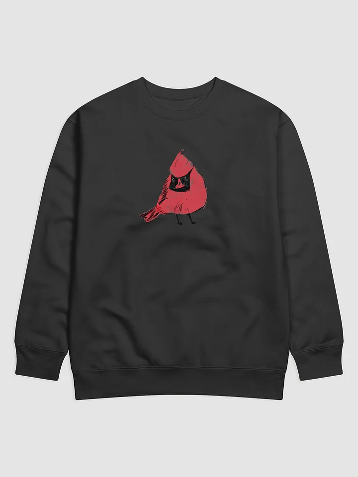 Shirley's Cardinal Sweatshirt product image (2)