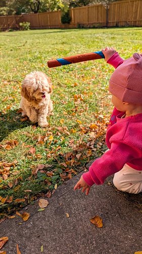 The master of Off-leash recall!

Off-leash Freedom is 100 percent earned and if you can't recall a pup Off-leash, your pup sh...