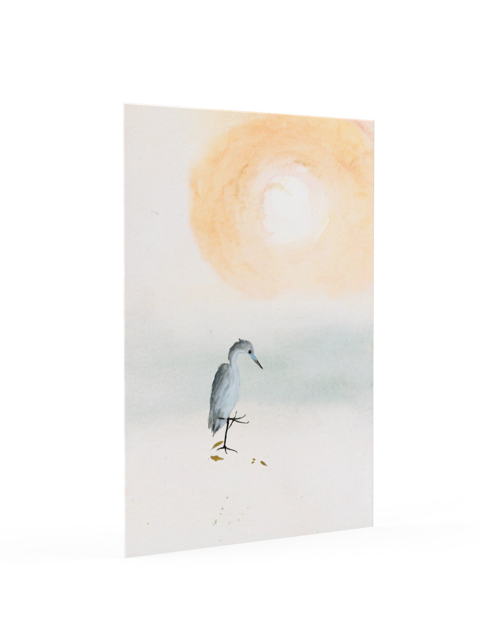 Baby Blue Heron - Fine Art Print product image (13)