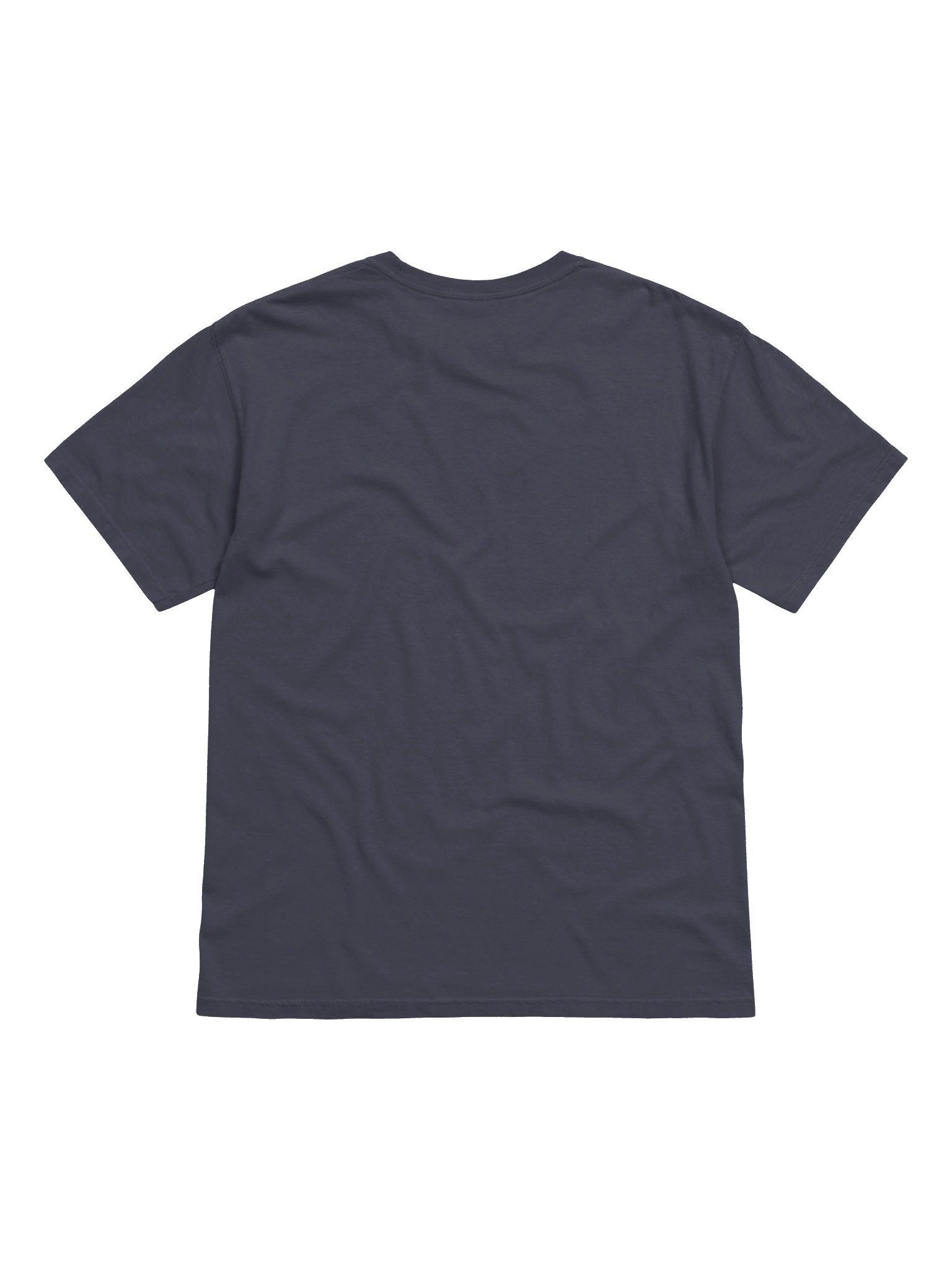 Unfit to Serve product image (2)