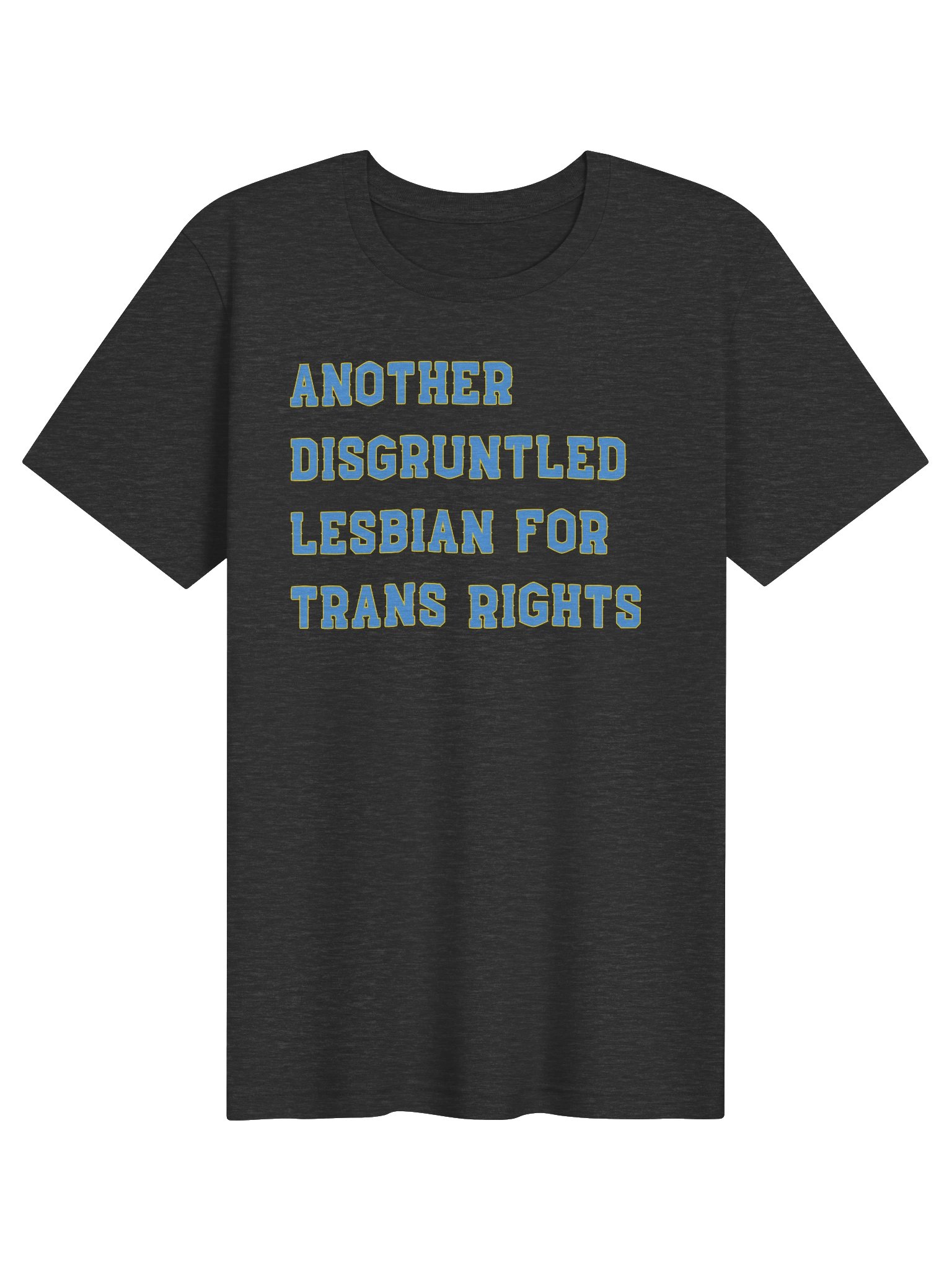 Disgruntled Chicago Lesbian product image (1)