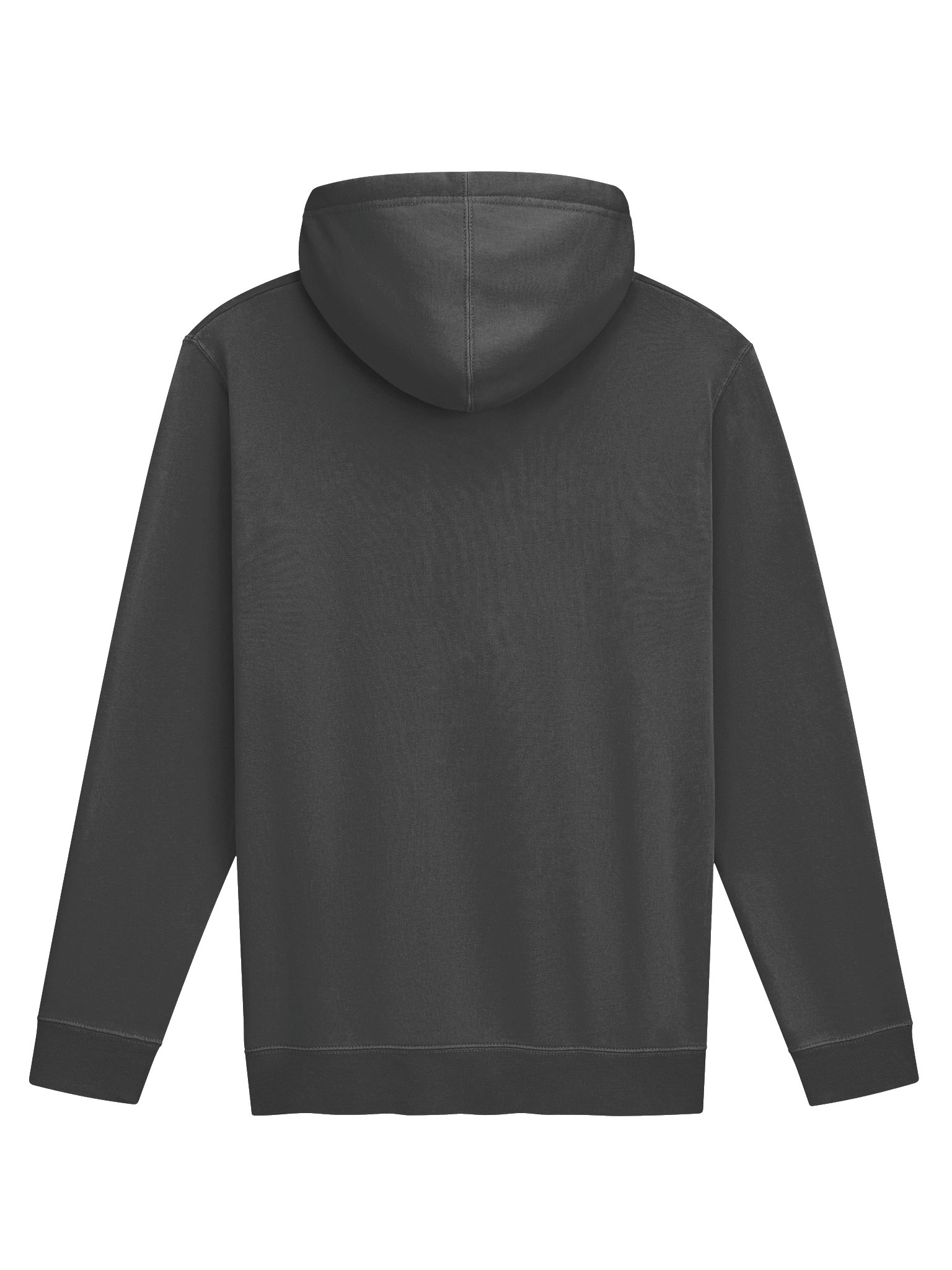 IBP LOGO HOODIE product image (2)
