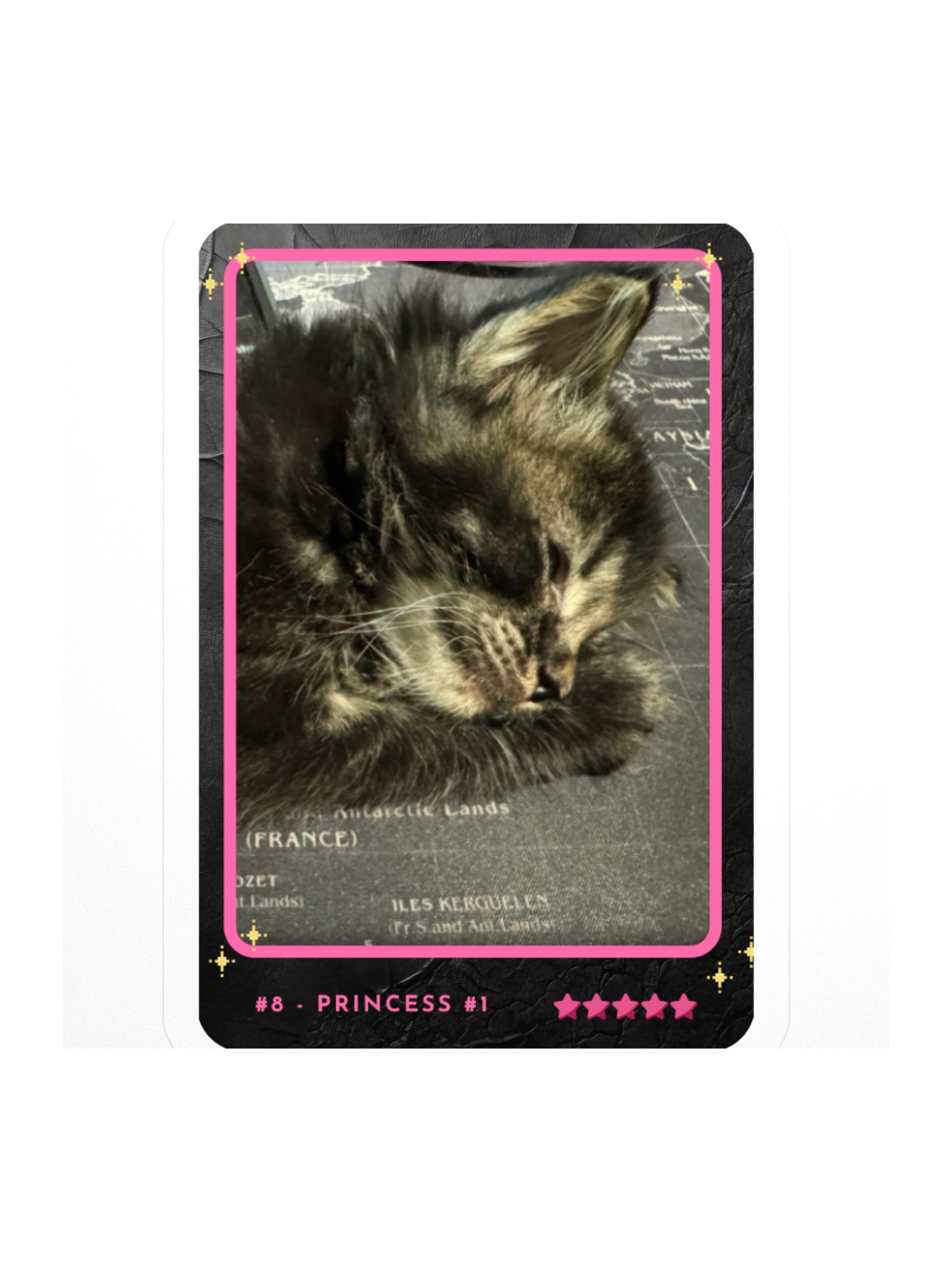 Channel Card 8 - Princess #1 product image (1)