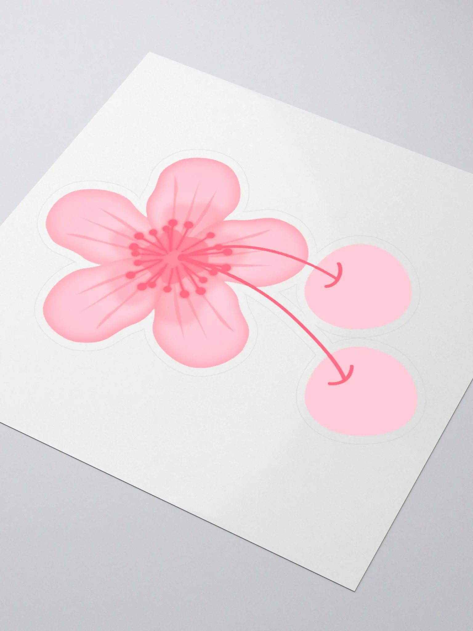 Sakura Cherry Blossom Sticker product image (3)