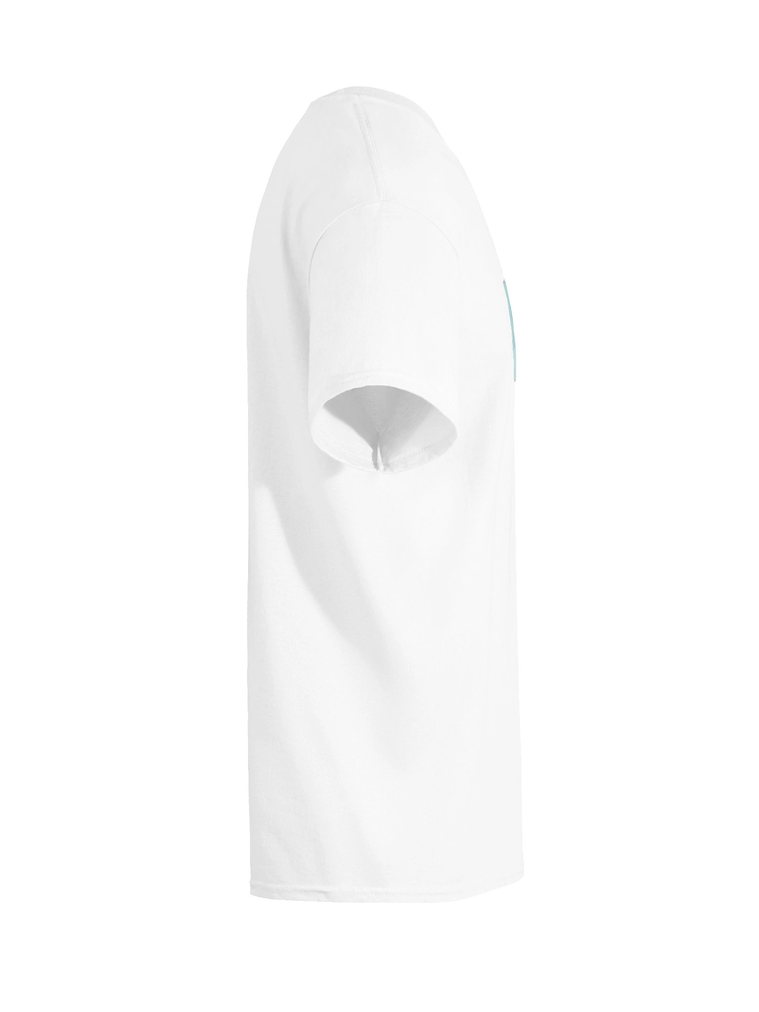 Memo product image (80)