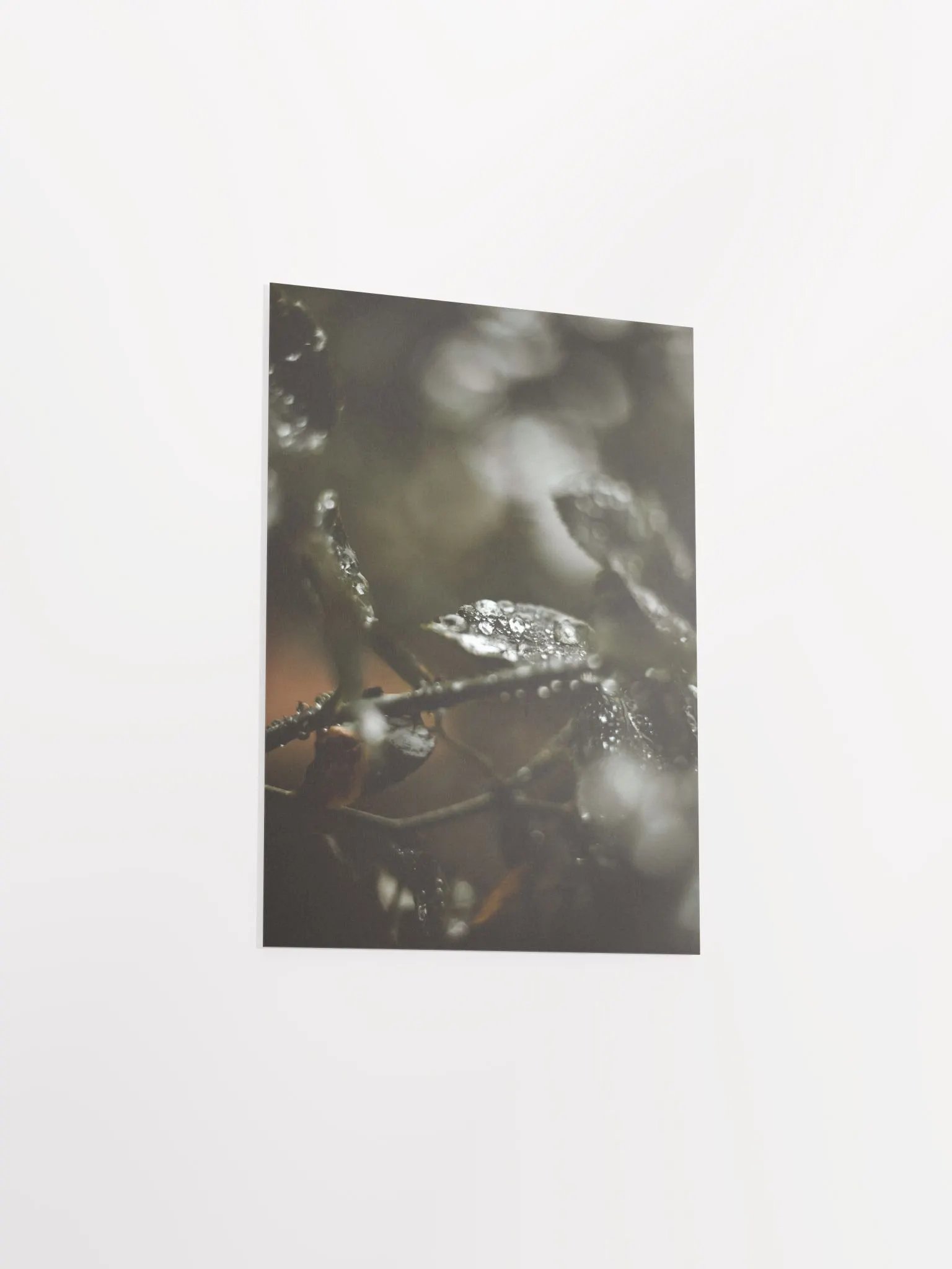 Rainy Day product image (11)