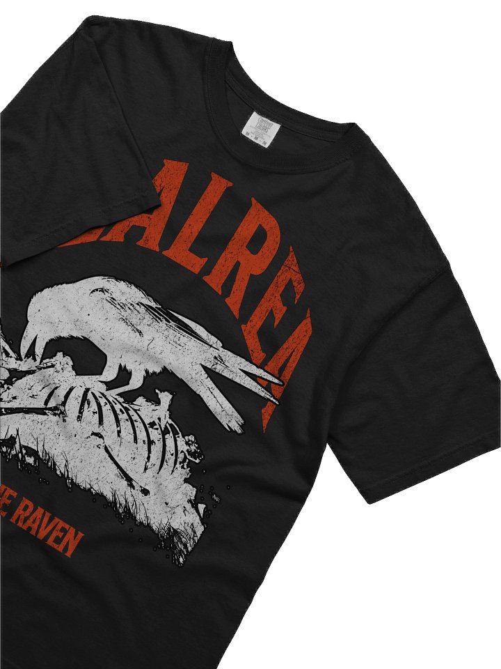 THE RAVEN TEE product image (2)