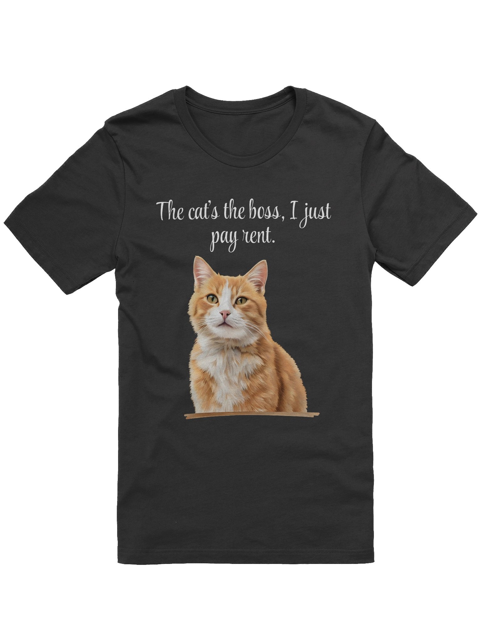 THE CAT’S THE BOSS, I JUST PAY RENT. product image (18)