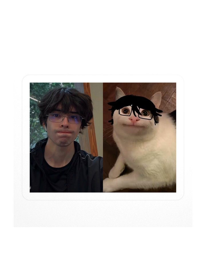 SHOOSHI-CAT STICKER product image (1)