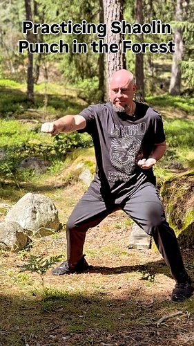 Warming up with some Shaolin punching in the forests.

#shaolin #kungfupunch