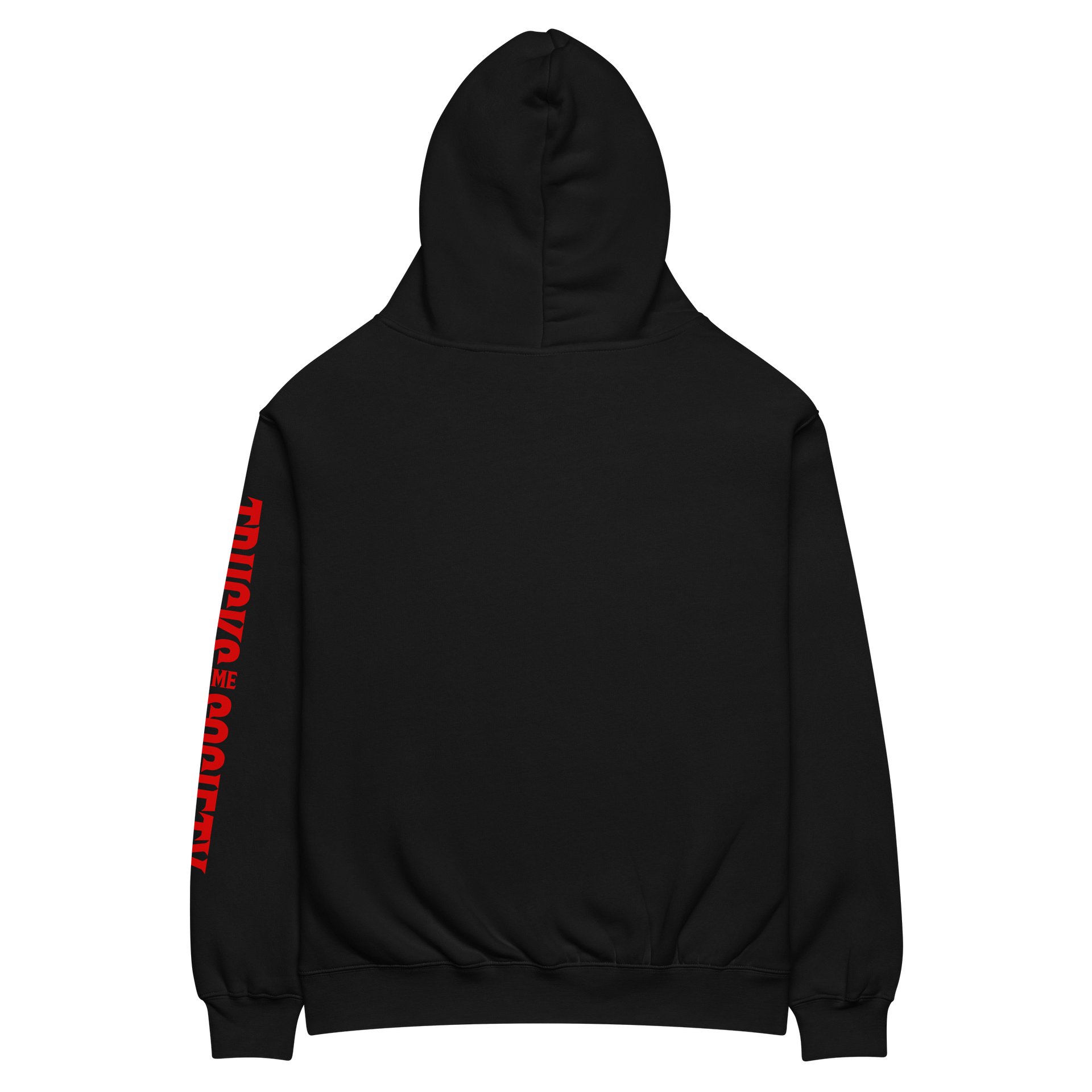 TRUCKSHOW STUNNER Oversized Hoodie product image (4)
