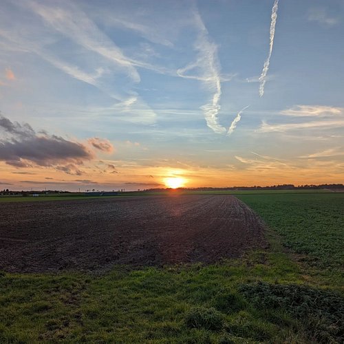 #googlepixelphotography #googlepixel #googlepixel7prophotography #googlepixel7pro #pixel7pro #pixelsuperfan #pixelsuperfans #...