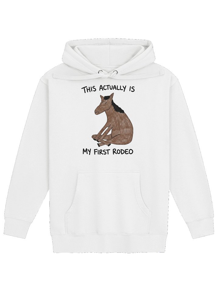 Rodeo Horse hoodie product image (45)