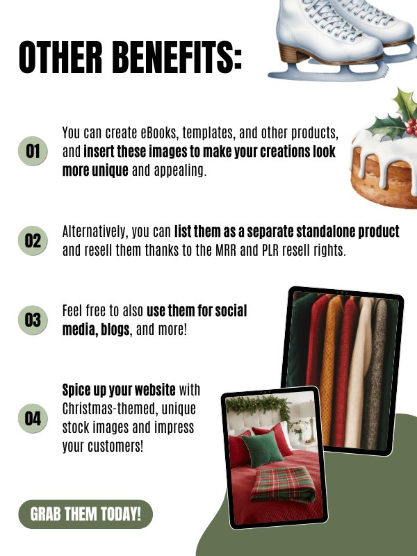 MRR/PLR Christmas Stock Photos product image (9)