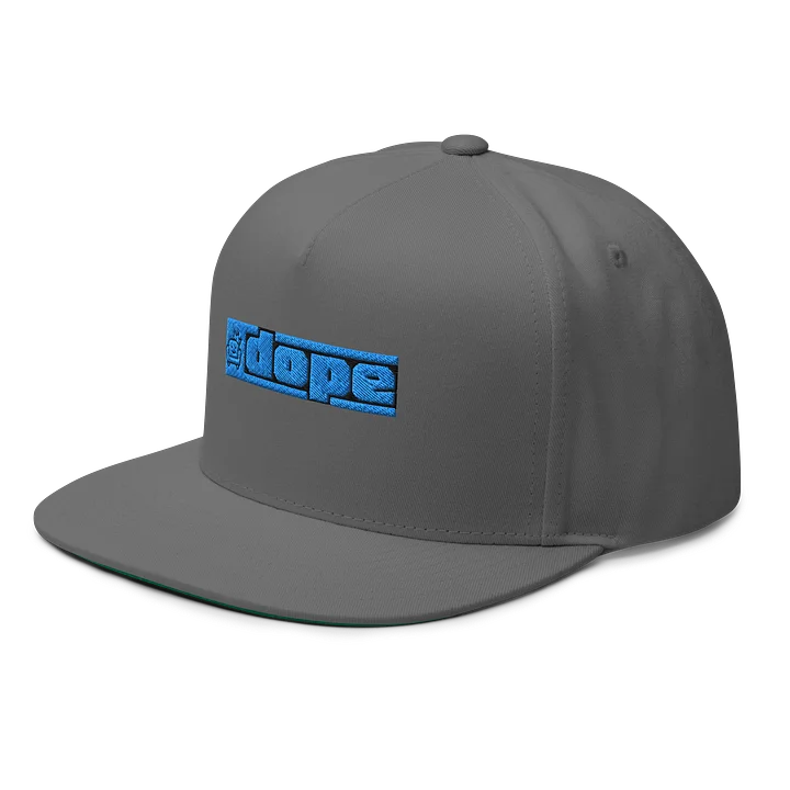 Gray Flat Brimmed Hat Blue Logo product image (2)