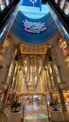Book your next cruise vacation today! Over 1,200 happy clients ! You can be next! #foryou #fyp #foryourpage #foryoupage #vaca...
