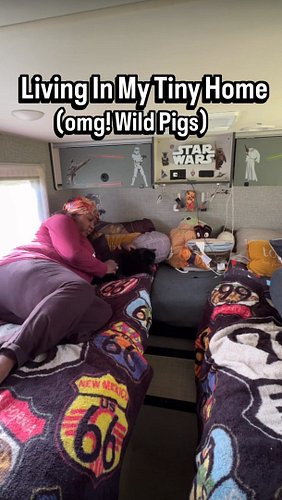 First morning…camping with wild pigs 
#vanlife #truckcamping #travelvlog #outdoors