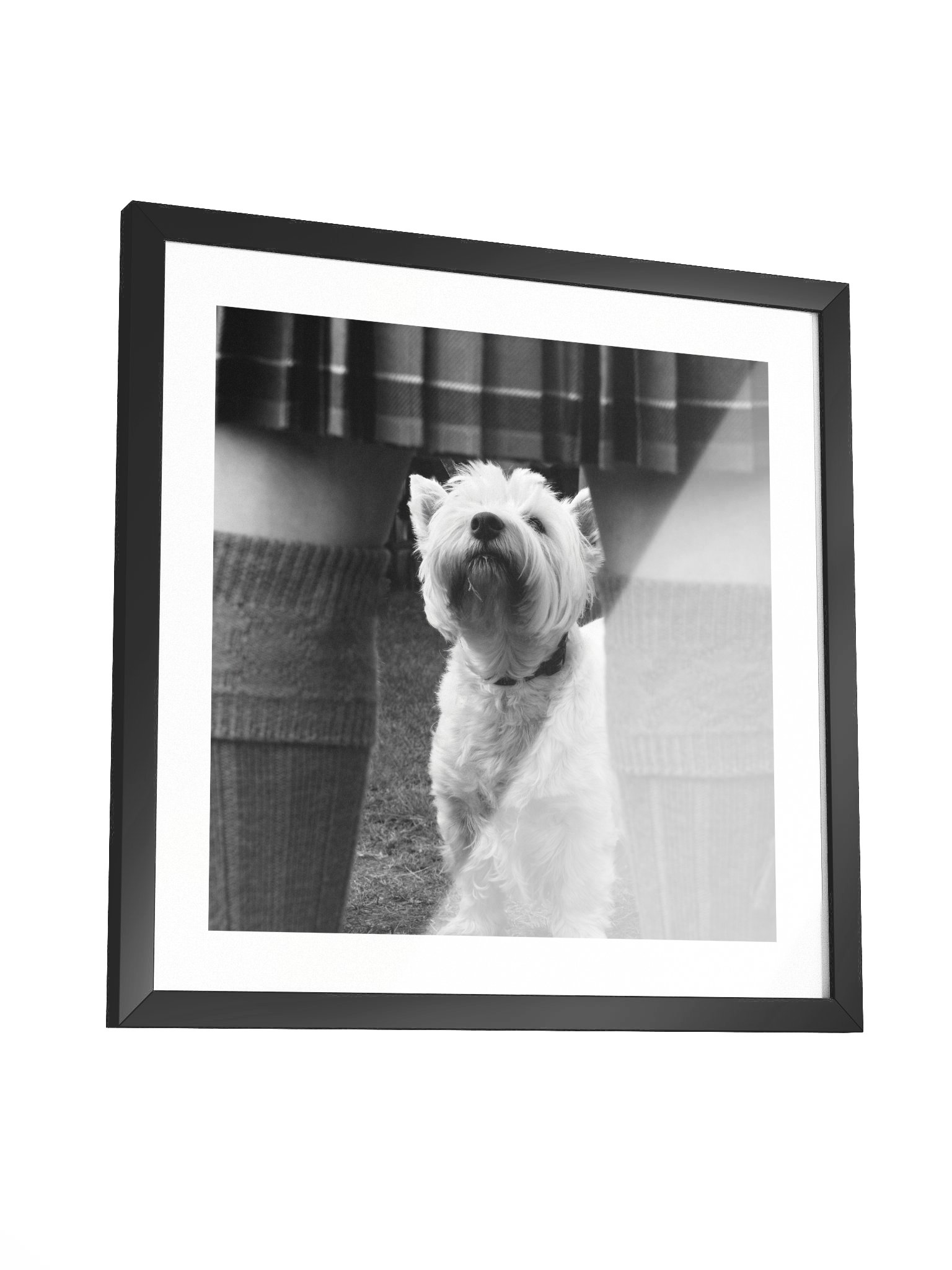 Wee Jock Print 2006 Lonach Games Scotland product image (3)