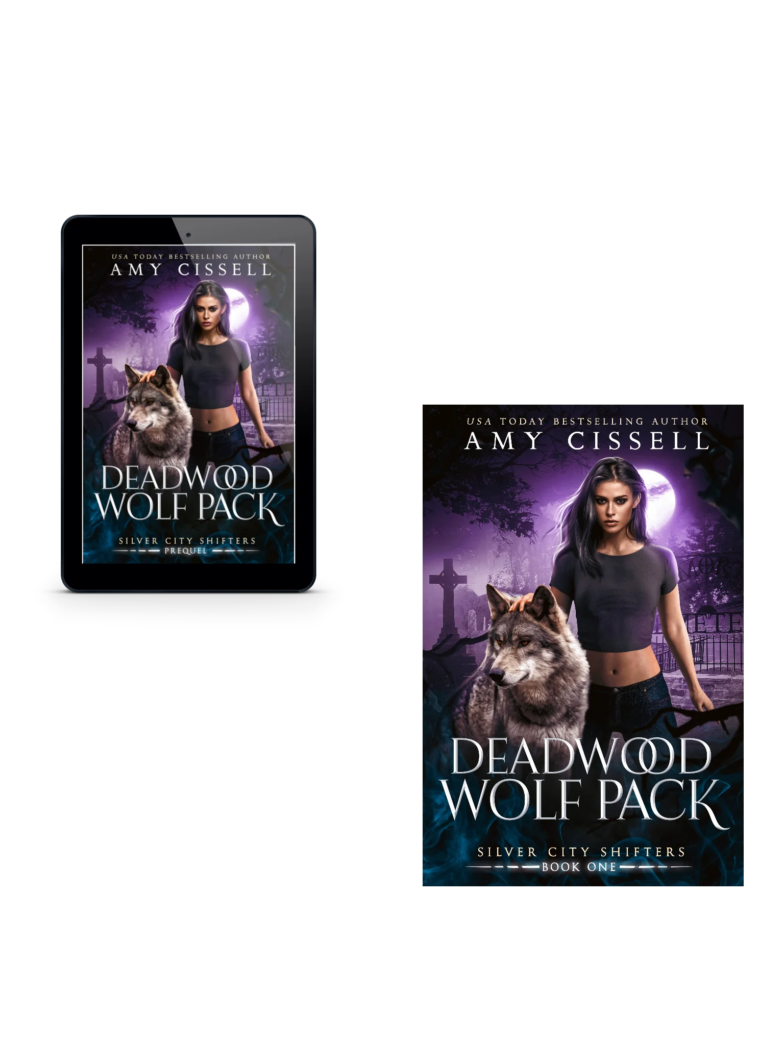 Silver City Shifters eBook Bundle (PREORDER BUNDLE!) product image (1)