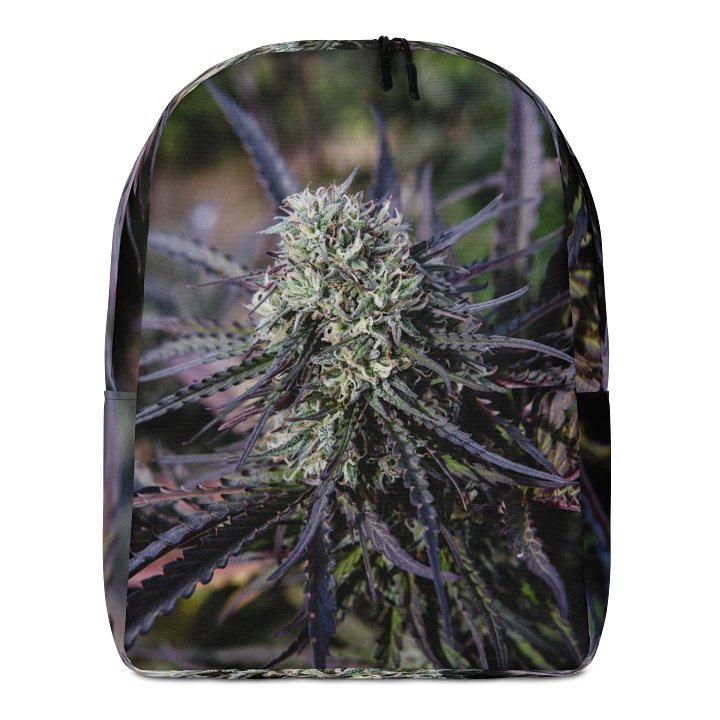 Royal Purple Cultivated Simple Backpack product image (1)