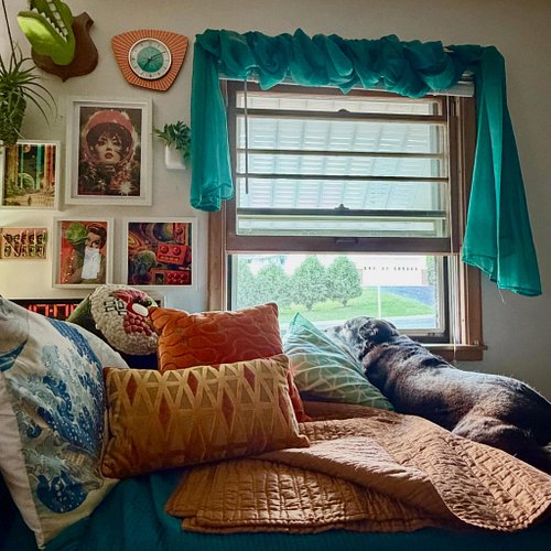 A nice summer evening in Spice’s favorite spot ✨🐶💕