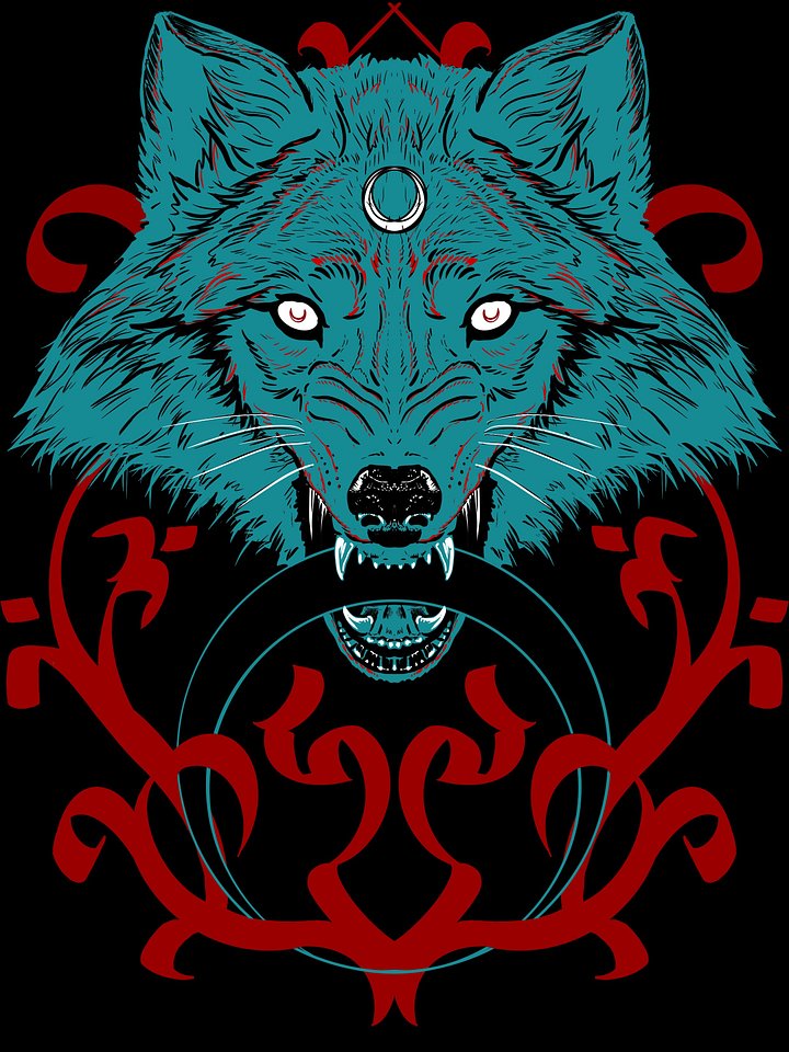 Lykos Crop Hoodie product image (2)