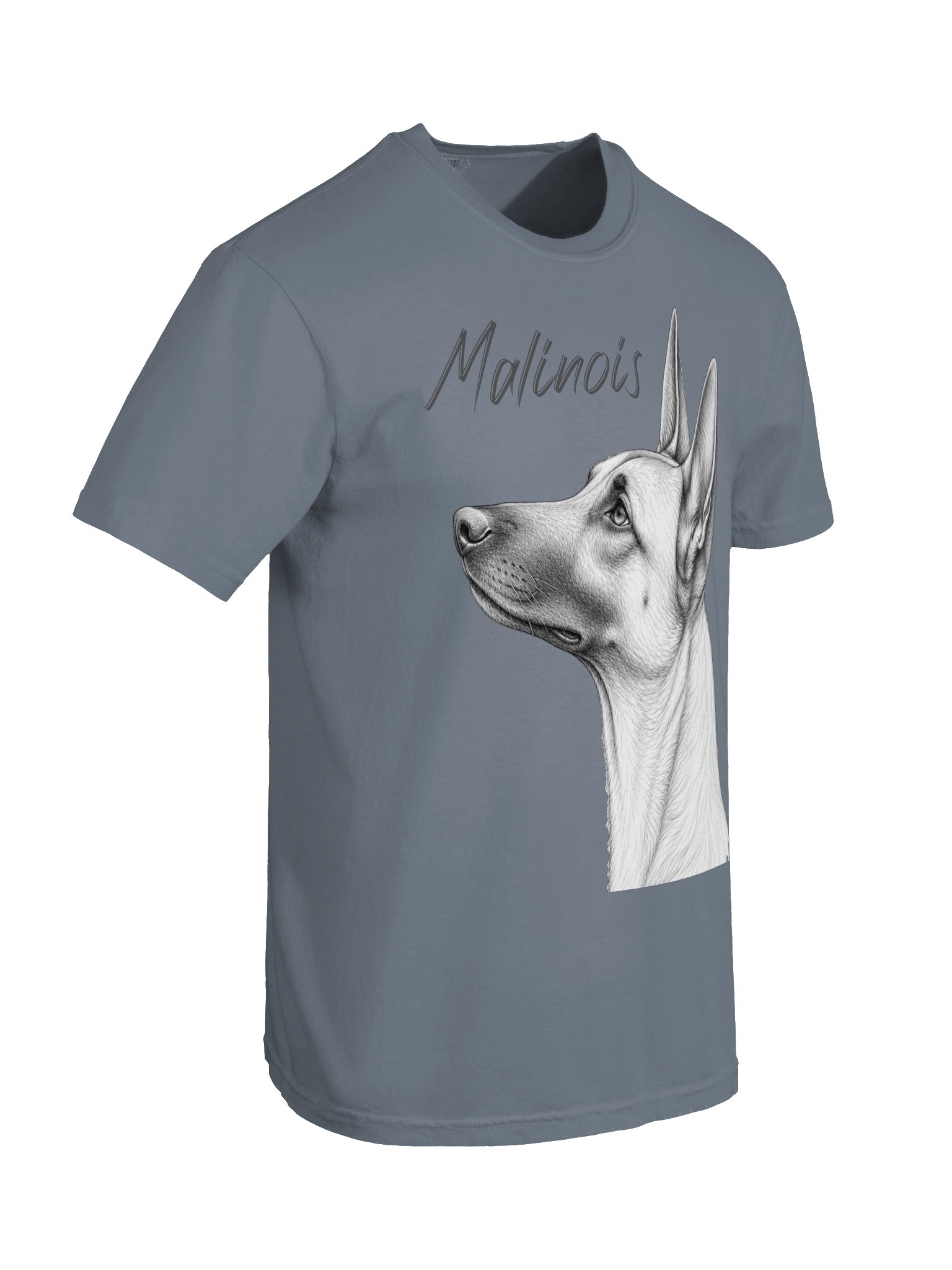 Belgian Malinois Profile product image (41)
