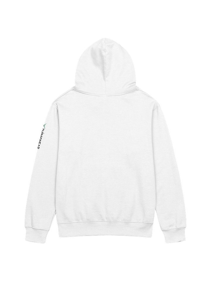 Science. Not Vibes. - Lightweight Hoodie product image (2)