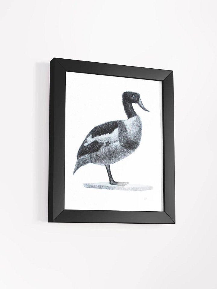 Serene Solitude: Framed Duck Illustration - Duck product image (5)