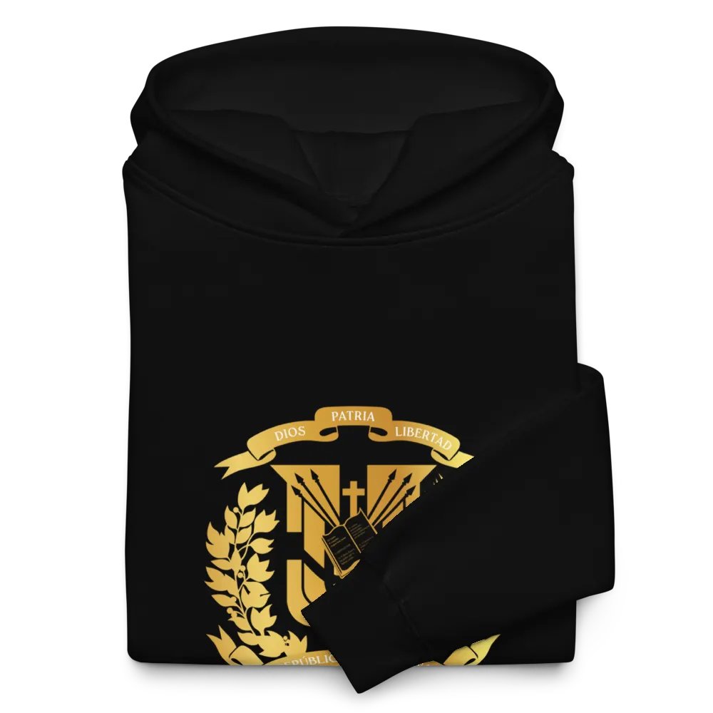 Unisex Premium Oversized Hoodie Escudo RD product image (10)