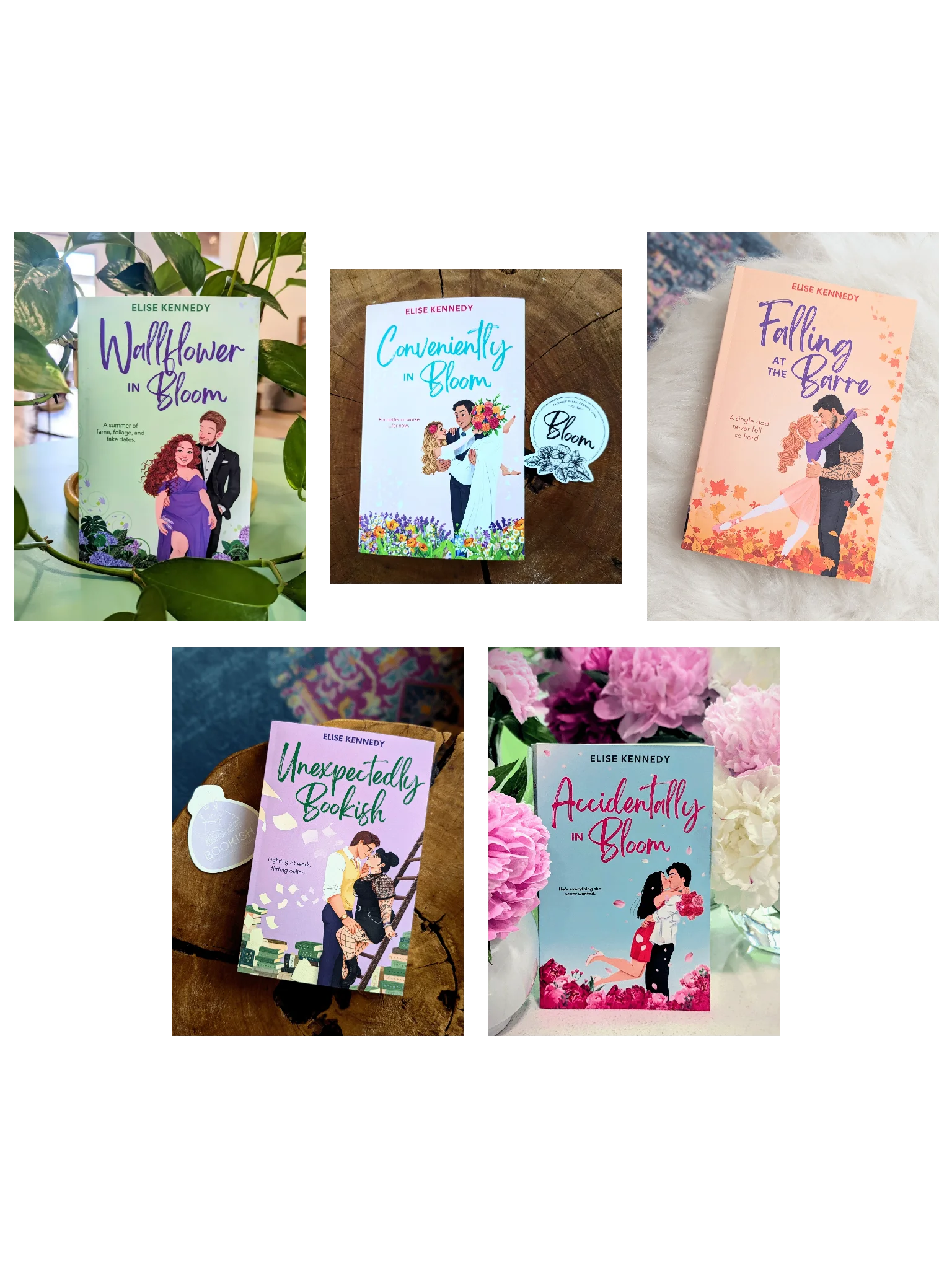 Fairwick Falls Paperback Bundle product image (1)
