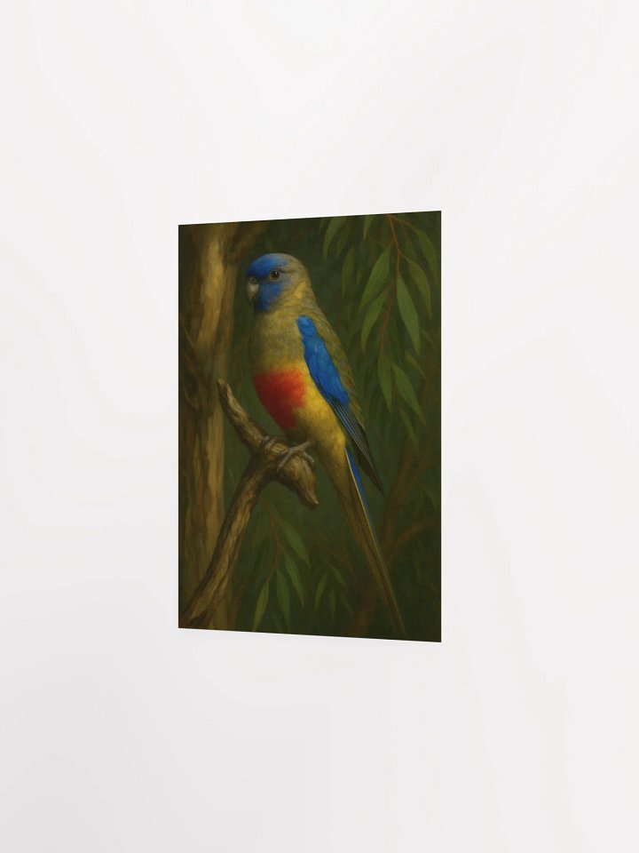 Blue Bonnet Parrot. product image (4)
